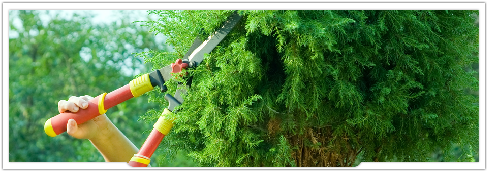 Landscapers Edmonton - Banner