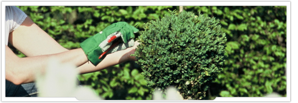 Landscapers Edmonton - Banner